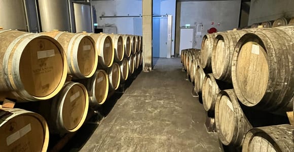 Private Tesla to Arrábida, Sesimbra & Family Wine Estate