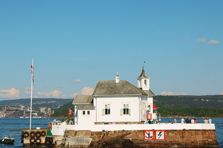 Oslo : Croisière touristique dans le fjord d'Oslo en bateau électrique