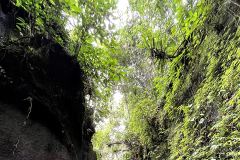 Discover Awesome Hidden Gems waterfalls Tour in Ubud Private Group with English Speaking Guide Tour