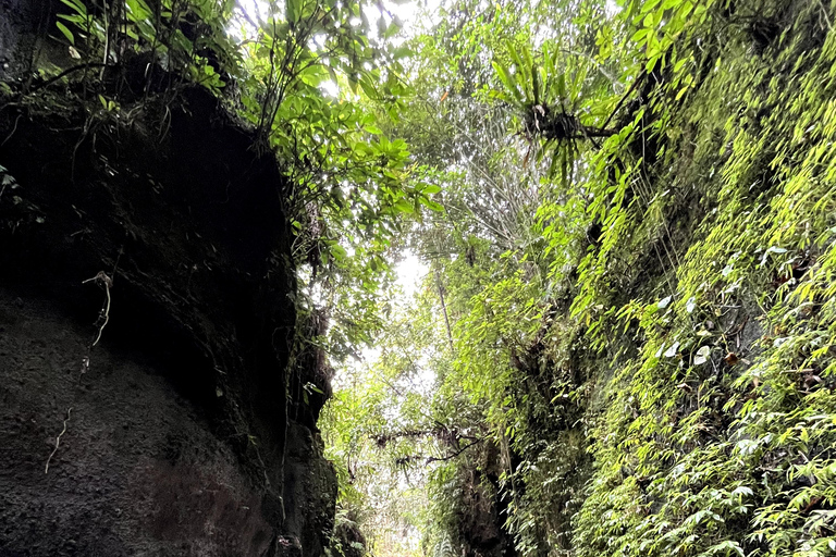 Entdecke die versteckten Juwelen der Wasserfälle in UbudPrivate Gruppe mit englischsprachigem Guide Tour