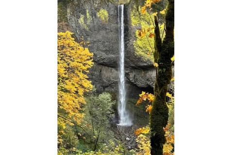 Portland: Columbia River Gorge Private Tour with Pickup