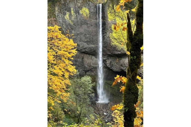 Portland: Columbia River Gorge Private Tour with Pickup
