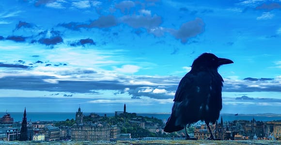 Edinburgh: Walking Tour with Professional Photoshoot