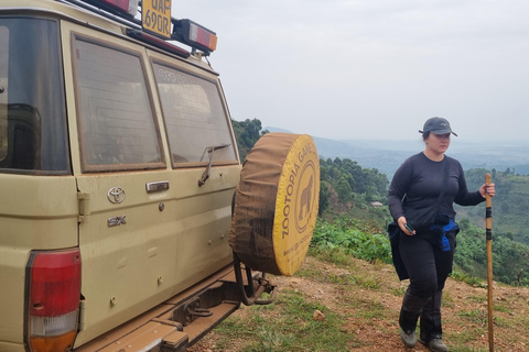 Uganda: 7-dagars gorillasafari och djurliv