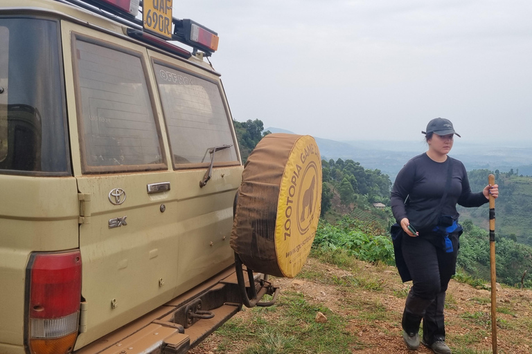 Uganda: 7-dagars gorillasafari och djurliv