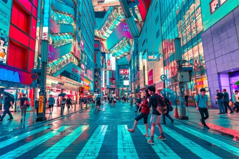 Tokio: privéwandeling van een hele dag met een gids