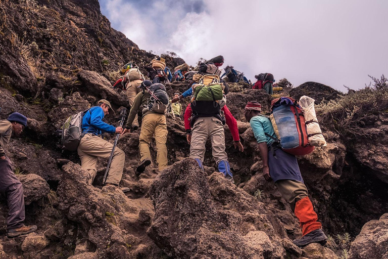 8-tägiges Kilimandscharo-Abenteuer (Machame-Route)