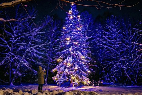 Sapporo: Hokkaido Biei Best 5 Photo Spots Day Tour Shared Tour, Meet at Odori Station