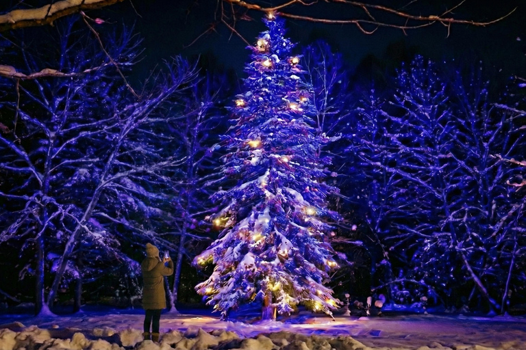 Sapporo: Hokkaido Biei Best 5 Photo Spots Day Tour Shared Tour, Meet at Odori Station