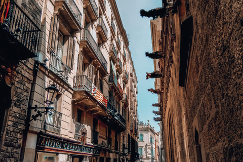 Barcelona: Introduction to the Gothic Quarter Walking Tour Private Tour (Max 20 Adults)