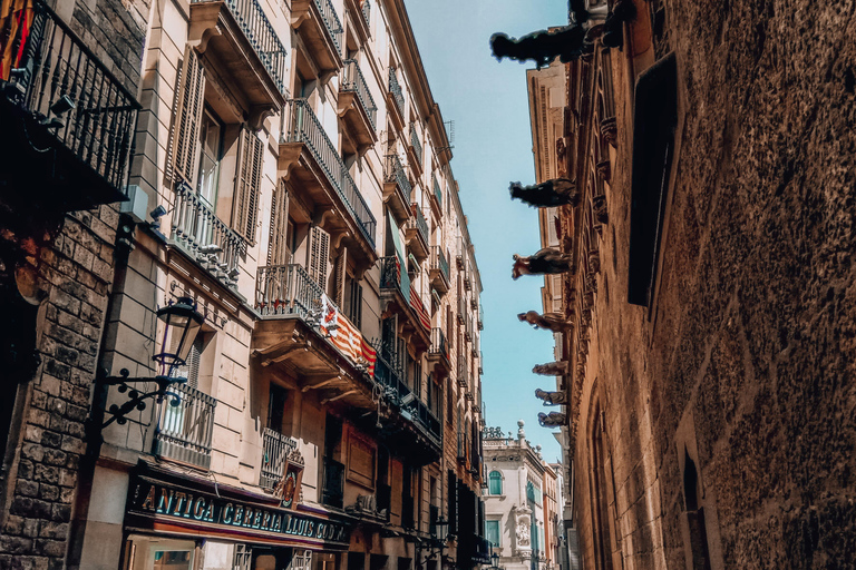 Barcelona: Introduction to the Gothic Quarter Walking Tour Private Tour (Max 20 Adults)