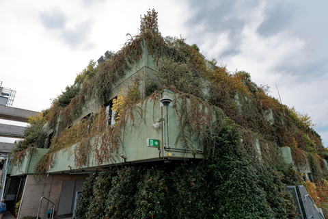 Green Bunker Tour on St. Pauli – the original