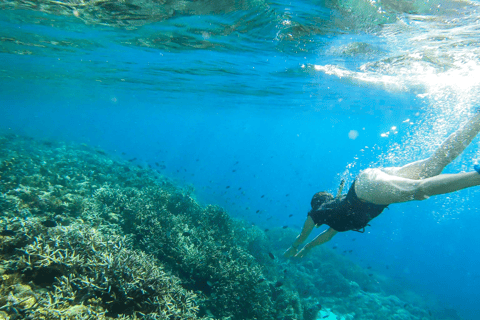 Eiland Komodo: 3-daagse privétour met boot & hotelAvontuur zonder vluchten