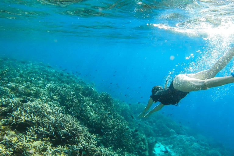 Eiland Komodo: 3-daagse privétour met boot & hotelAvontuur zonder vluchten