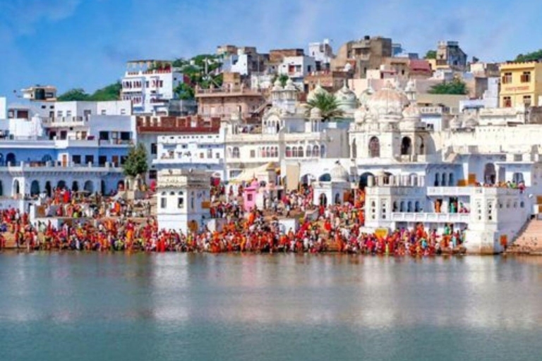 Ganztägige Pushkar-Tour von Jaipur aus mit Reiseführer und Kamel/Jeep-SafariGanztägige Pushkar-Tour ab Jaipur mit Reiseführer.