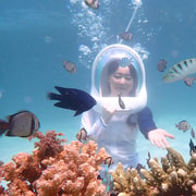 Boracay: Helmet Diving Experience with Photos and Videos