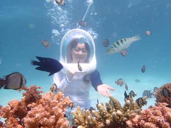 Boracay: Helmet Diving Experience with Photos and Videos