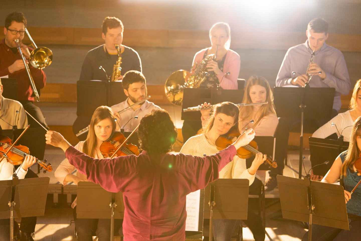 Vienna: Mozart, Beethoven, & Strauss Private Tour