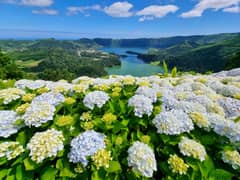 Sete Cidades - Tour de meio dia