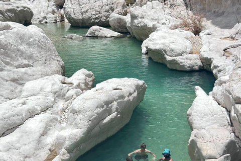 Desde Mascate: 2 días, 1 noche en Ras Al Hadd