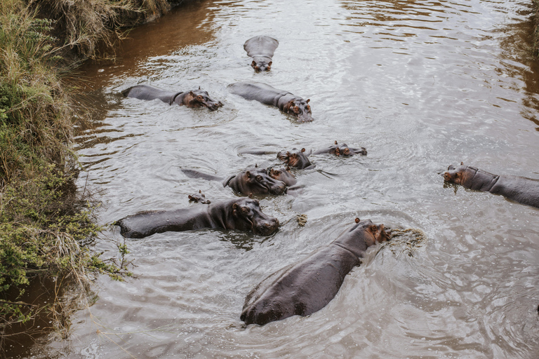 From Arusha: 6-Day Tanzania Magic Safari