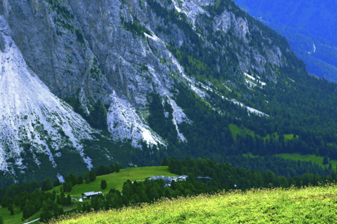 From Edinburgh or Glasgow: Inverness & Highlands Whisky Trip