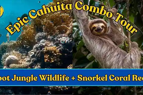 Epic Cahuita Combo Tour: Snorkelrev og vandretur med vilde dyr