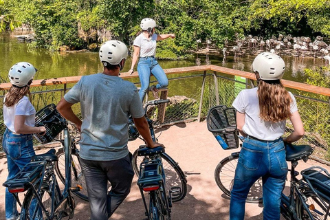 Lyon: Guided E-Bike Tour Lyon: Guided tour by electric bike