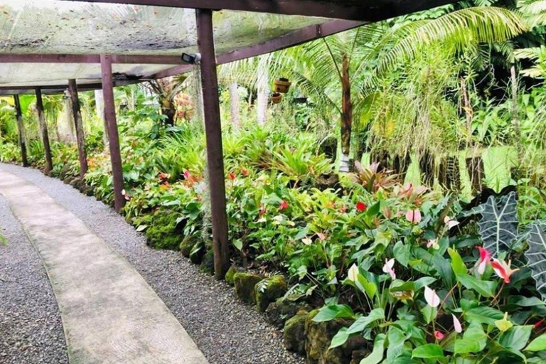 Nadi: Private Tour with Temple, Markets, and Hot Springs