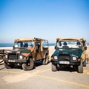 Sintra: Excursión en Jeep de época, Palacio de la Pena y costa 8 horas