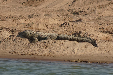 From Agra: Day Trip to Chambal River Safari with Lunch