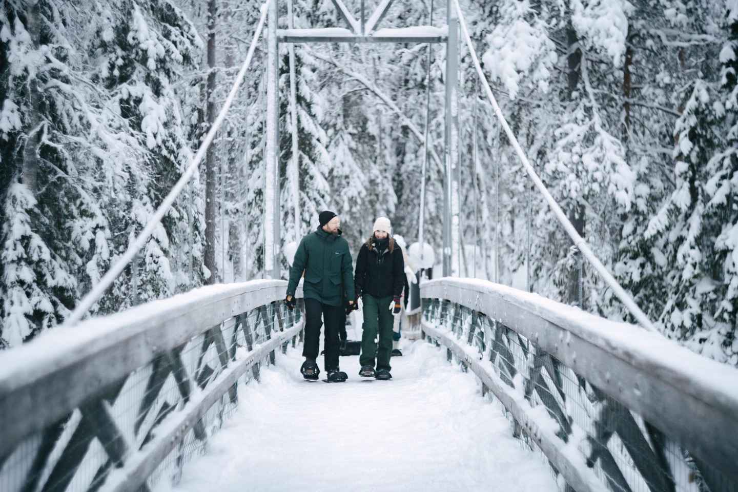 Rovaniemi: Snowshoeing in the Arctic Wilderness