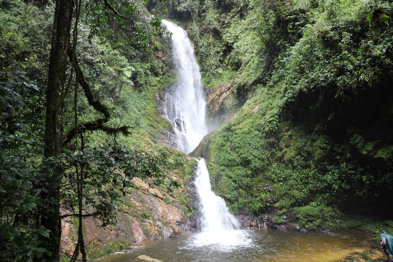 5-dniowe safari z gorylami, szympansami i dziką przyrodą w Rwandzie