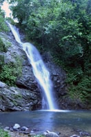 Tropical Rainforest Waterfall and Natadola Beach Tour - Hizvo