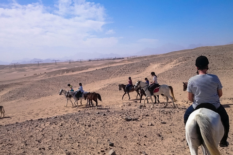 From Hurghada: Red Sea Sunrise and Desert Horseback Riding Private Group: Special Package - 1H Horse Ride