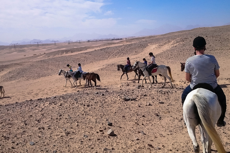 Desde Hurghada: Amanecer en el Mar Rojo y Paseos a Caballo por el DesiertoBahía de Makadi, Sahl Hasheesh: 2 horas sólo de paseo a caballo