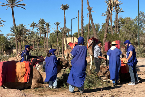Camel Ride Adventure Through Marrakech’s Desert Villages