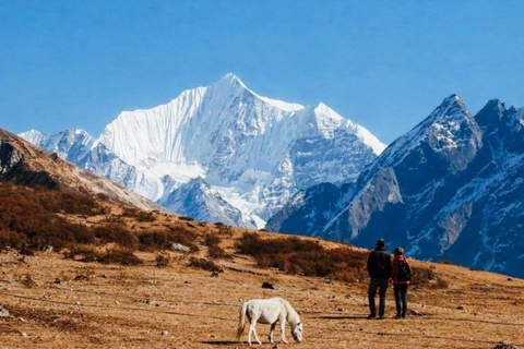 Langtang Highlands Trek via Tserko Ri & Sherpagaon