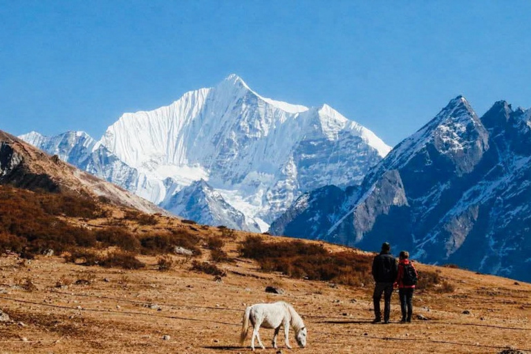 Langtang Highlands Trek via Tserko Ri & Sherpagaon
