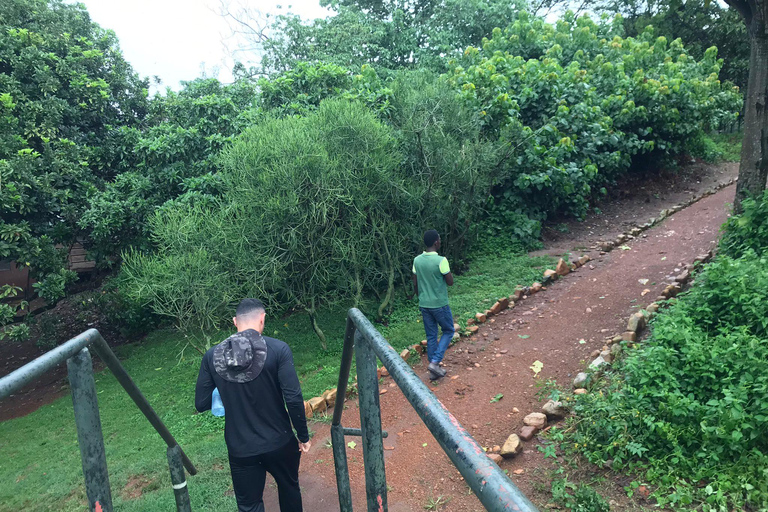 Ngamba Island Chimpanzee, Entebbe and Victoria Tour