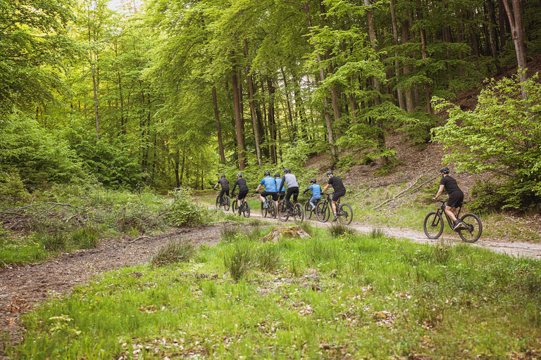 Tricity: Gdynia, Gdańsk, Sopot Guided E-MTB Bike tours