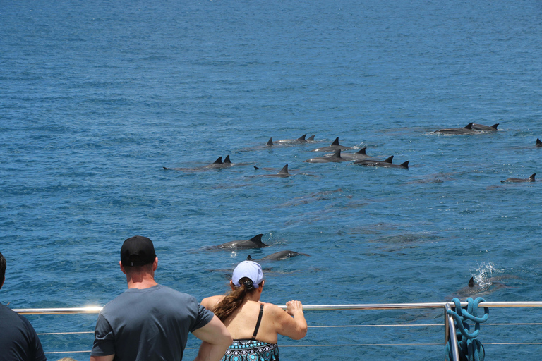Oahu: Snorkeling & Dolphin Watch Cruise with Hawaiian Buffet Private: All-Inclusive Sunset Snorkel Cruise with Hot Buffet