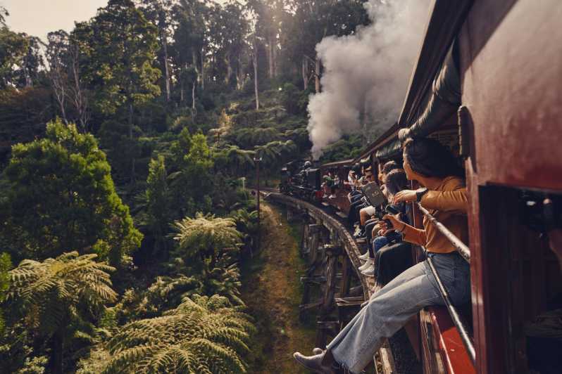 From Melbourne: Puffing Billy & Moonlit Sanctuary Tour