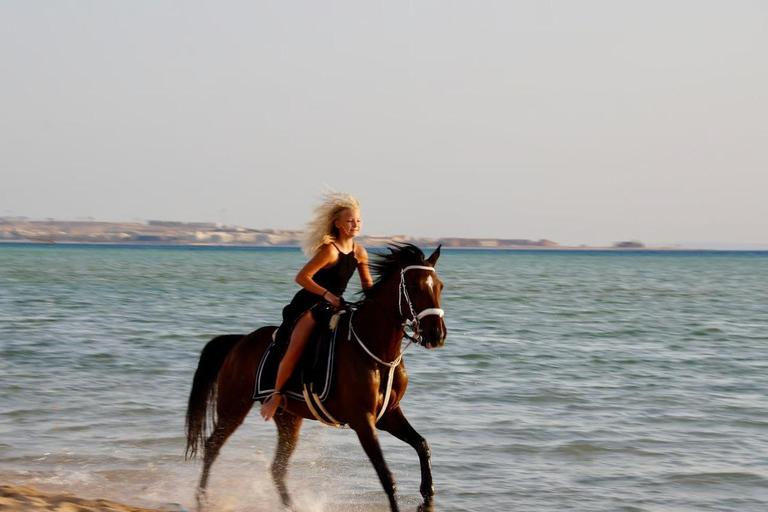 Baía de Makadi: Passeio a cavalo no deserto e no mar com guia + transferênciasBaía de Makadi: Passeio a cavalo no deserto e no mar com guia + transporte