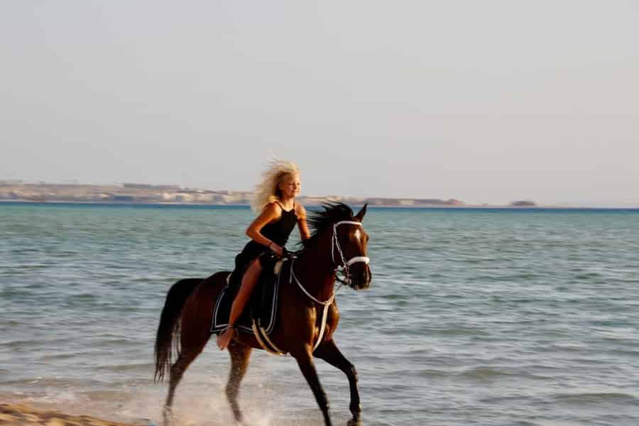 Makadi Bay: Reiten in der Wüste und am Meer mit Guide + Transfers. Foto: GetYourGuide