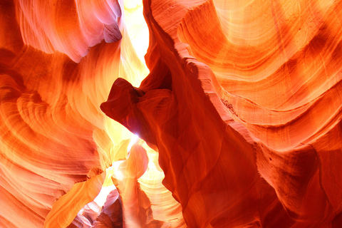 Las Vegas Round-trip| Yellowstone 7 Days Tour with Starlink Single Room