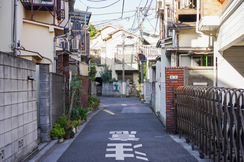 Distrito de Yanaka: Excursão a pé histórica no centro histórico de TóquioDistrito de Yanaka: passeio a pé histórico na cidade velha de Tóquio