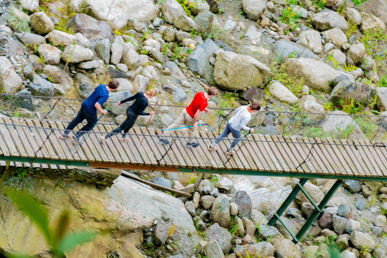 From Kampala: 6-Day Gorillas, Chimpanzees and Rwenzori Tour