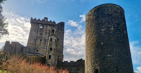 Blarney Castle: Private geführte Tagestour ab Dublin