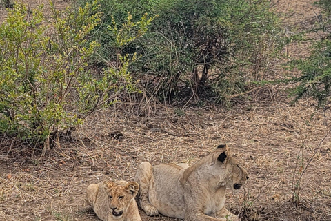 3-days 2-nights Zanzibar to Mikumi Safari wildlife-bye Boat